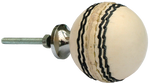 White Cricket Ball Pull