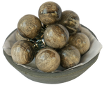 Round Grey Fossilised Wood Cabinet Pull Small