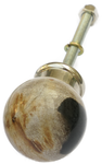 Round Fossilised Wood Cabinet Pull Small