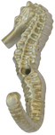 Seahorse Tail Hook in Nickel