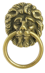 Brass Lion Cupboard Pull